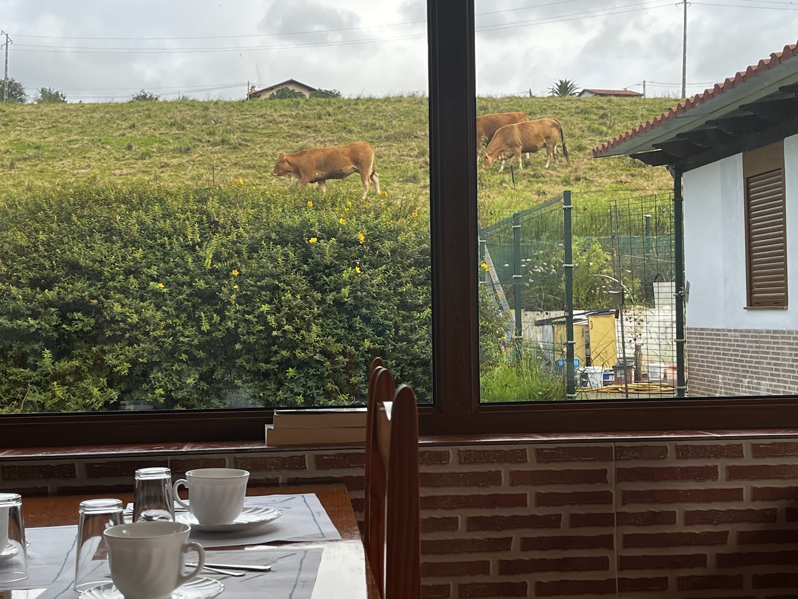 Posada Adela photo 8