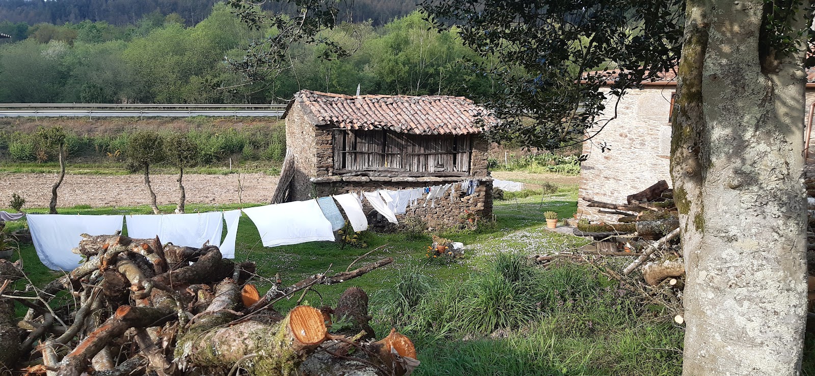 Alojamiento Santa Irene