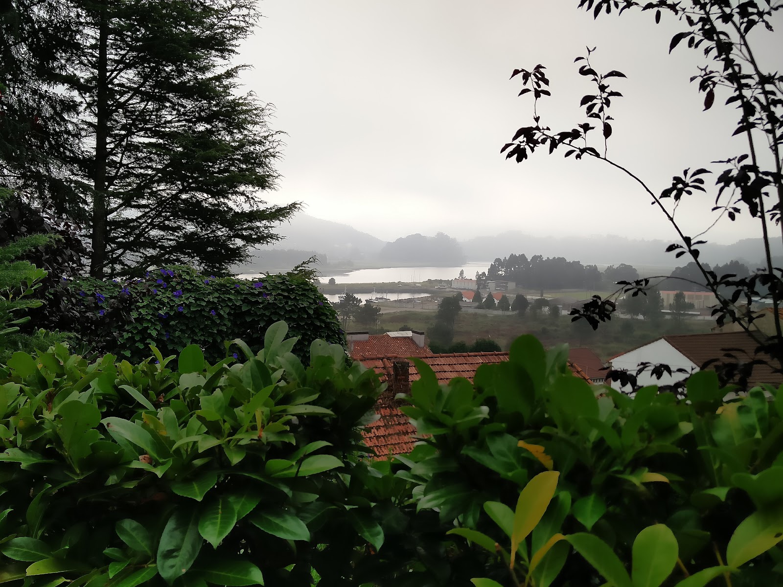 The Berdial COTTAGE IN ASTURIAS photo 4