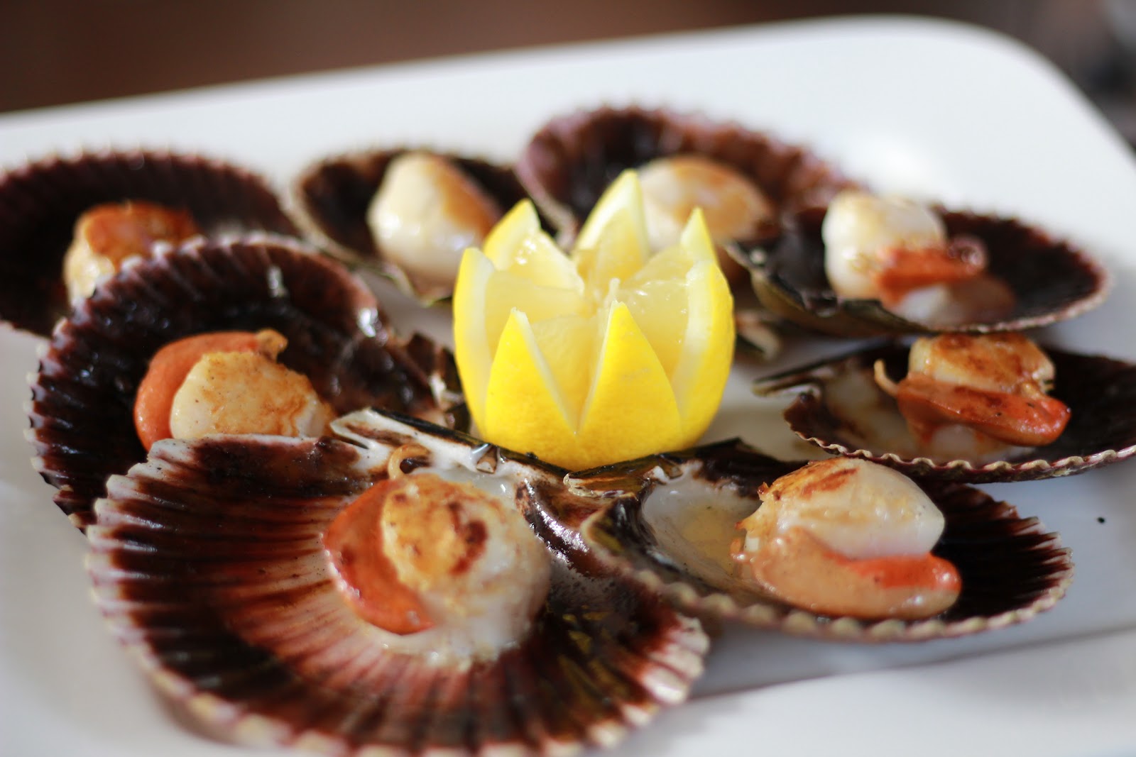 Hotel Cosmopol photo 7