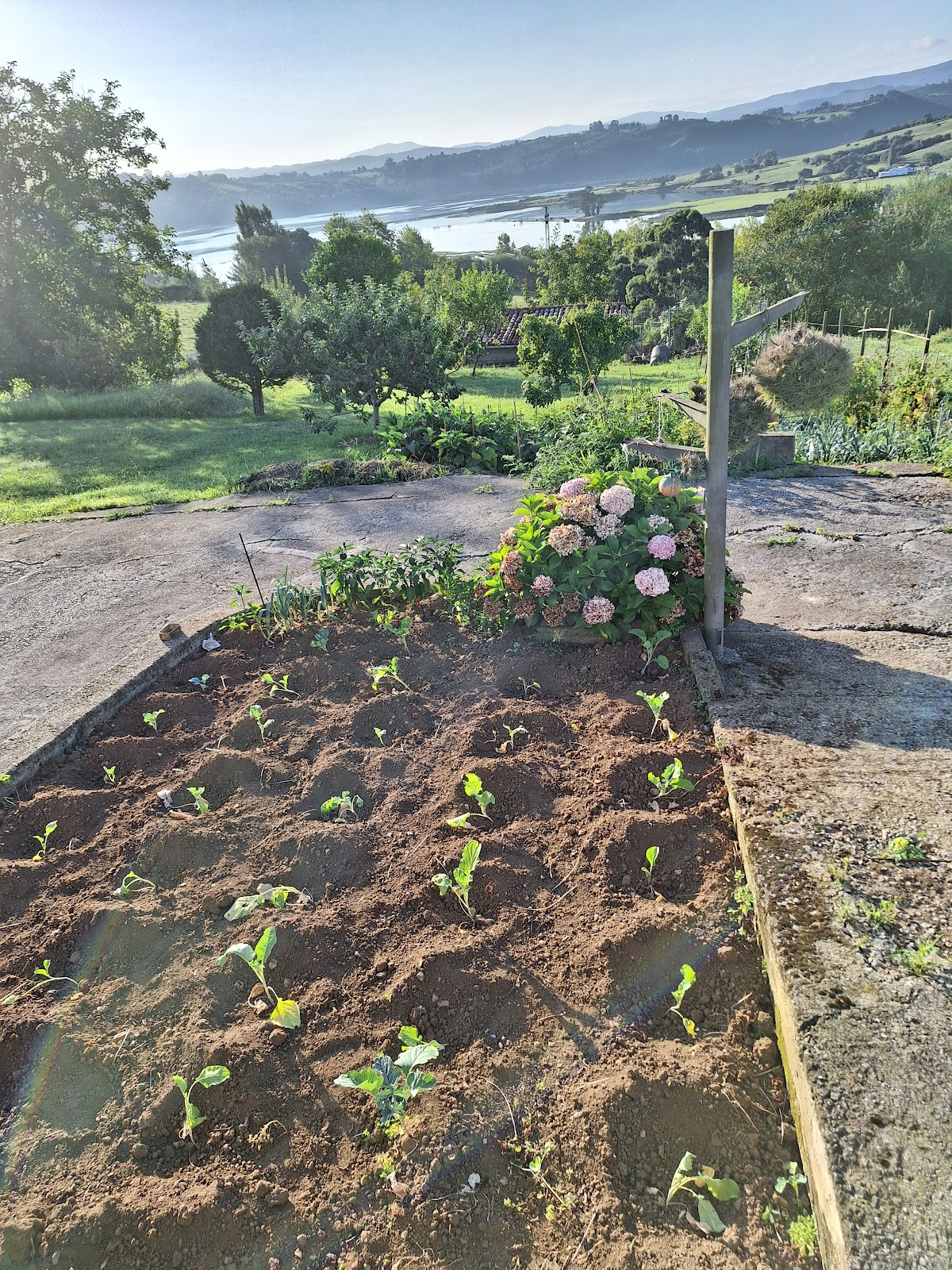 Fuente el Hayedo photo 10