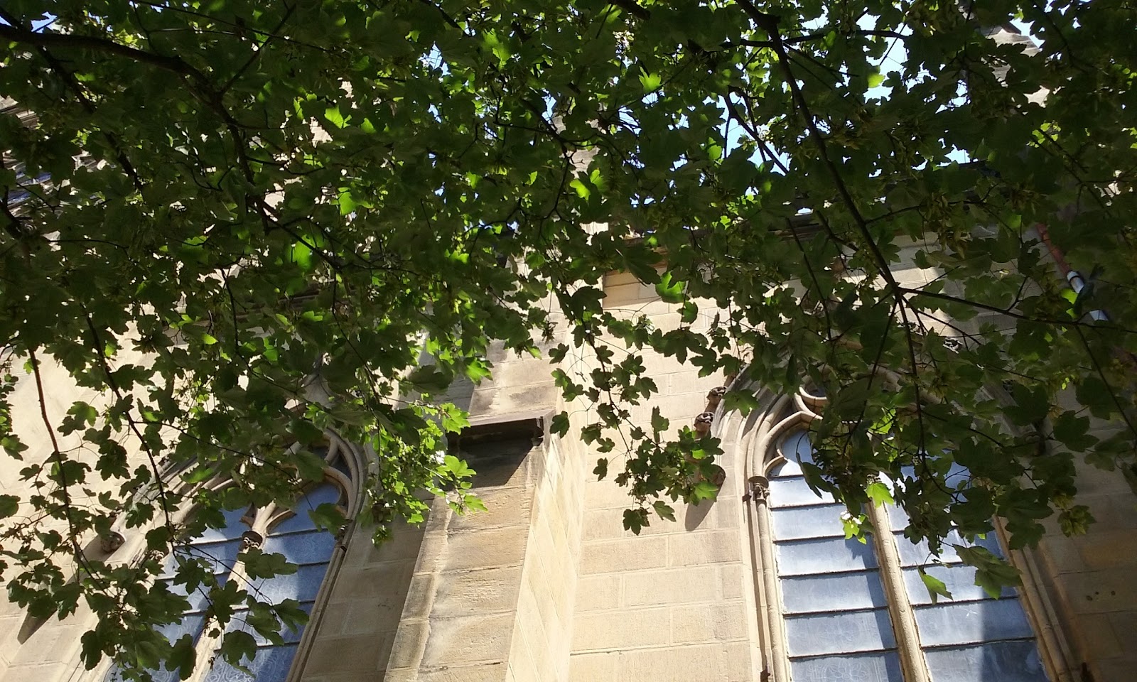 Pensión San Ignacio Centro photo 5