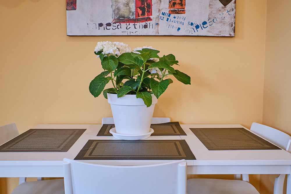 Peregrina Pensión 1 photo 6