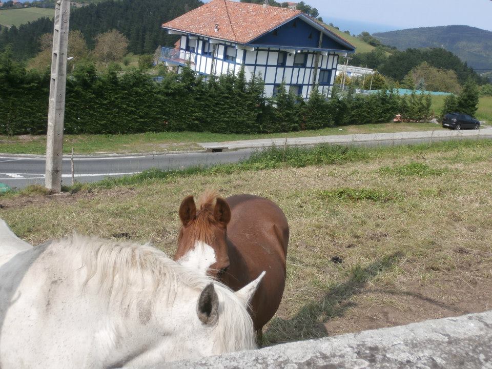 Hotel Kanala photo 6