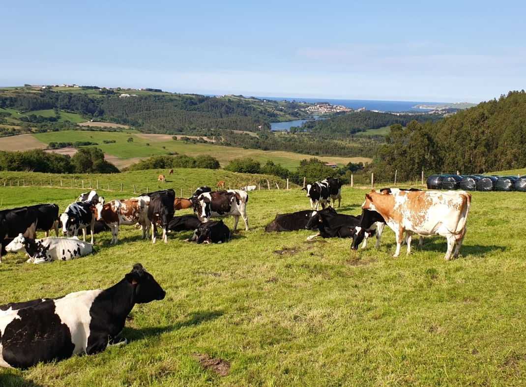 Casa Vacacional Mirador de San Vicente photo 6