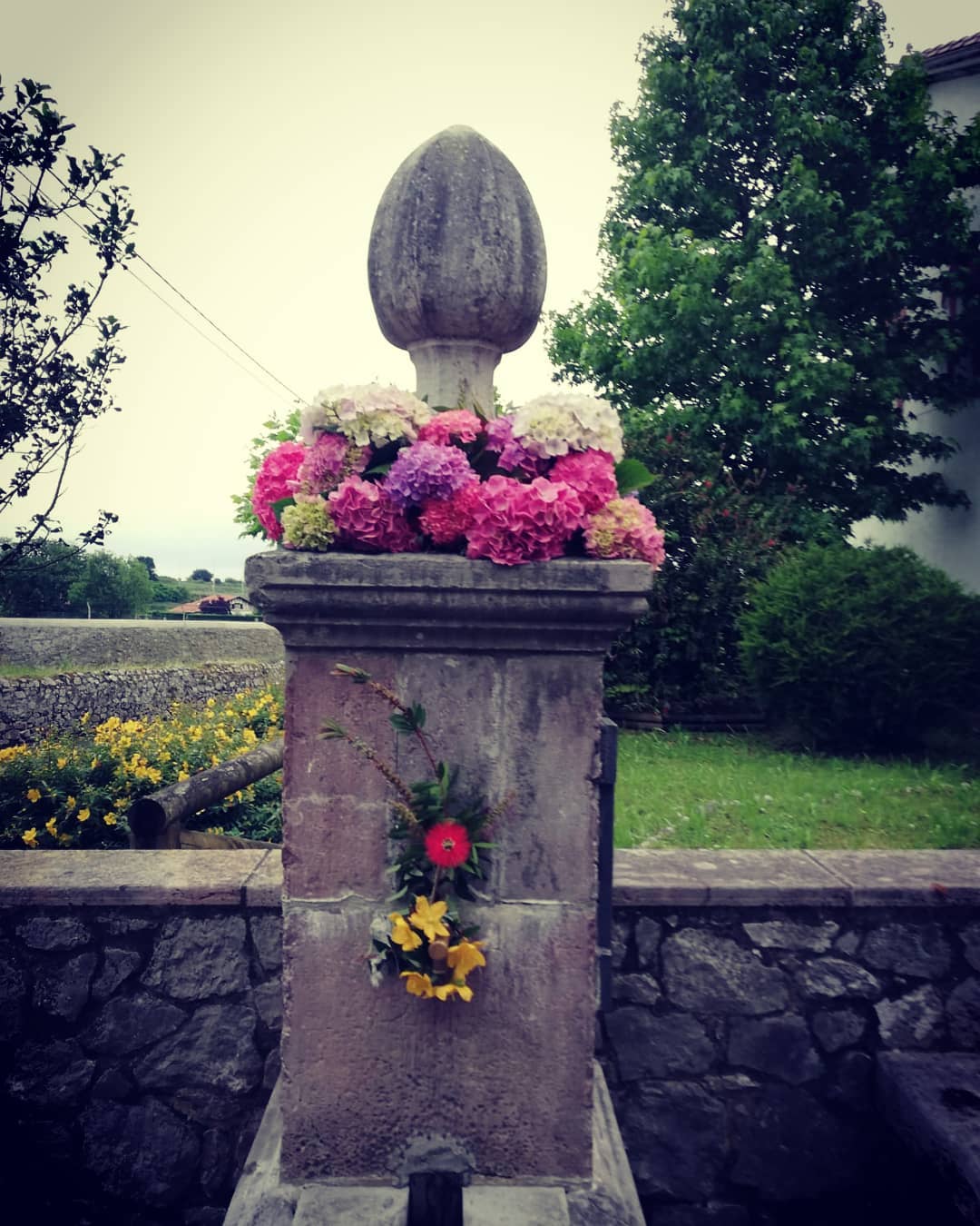 Hotel La Fonte photo 7