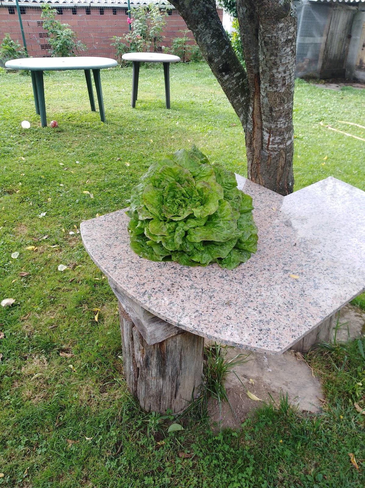 Albergue Rural Astrar photo 7