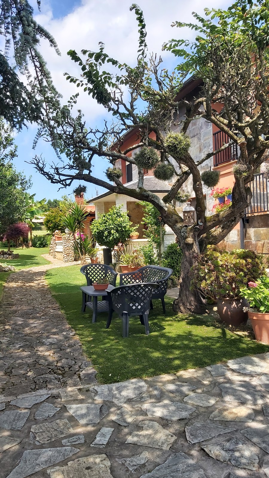 Pensión Oreña photo 6