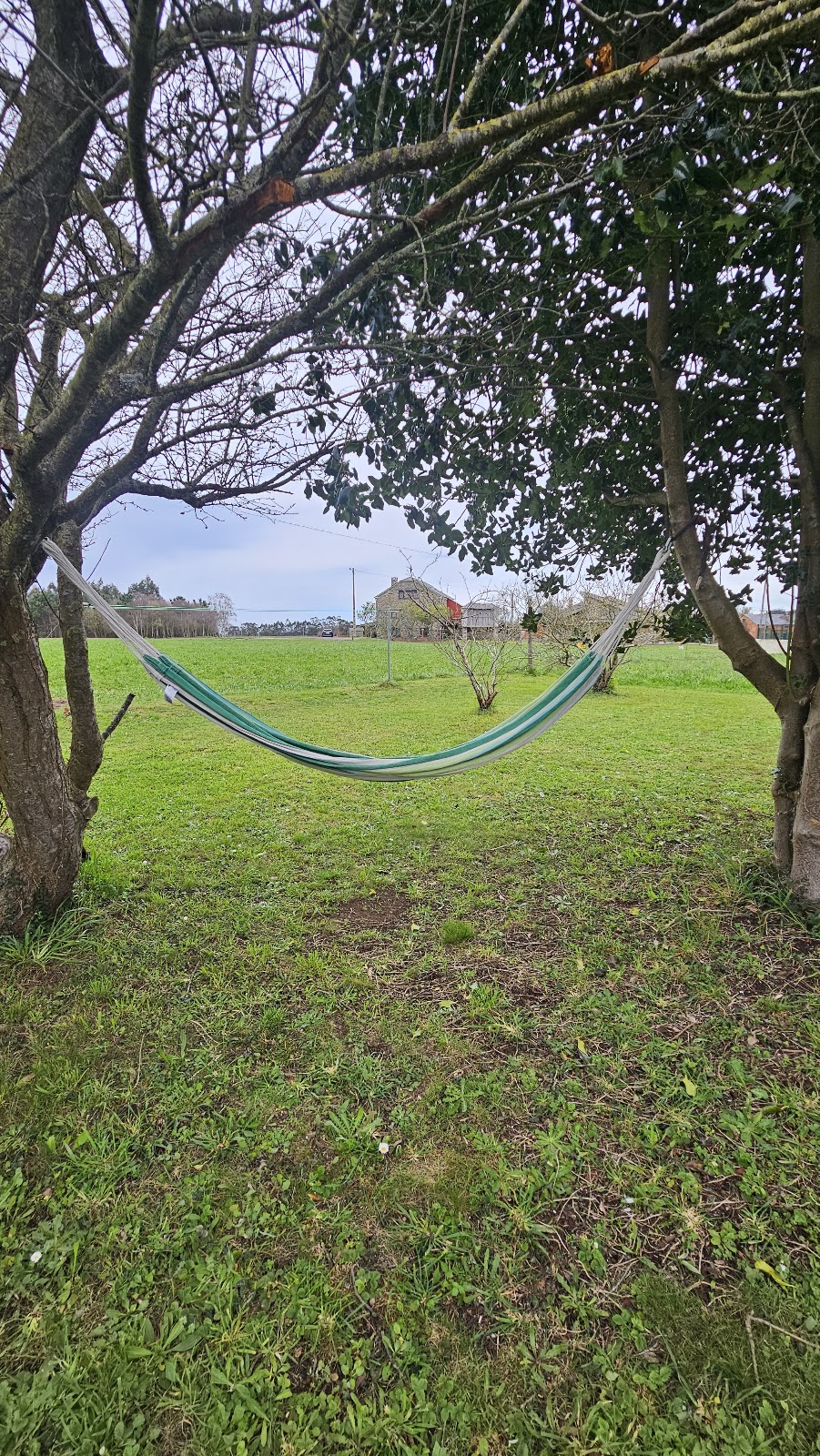 Apartamentos Castello photo 5