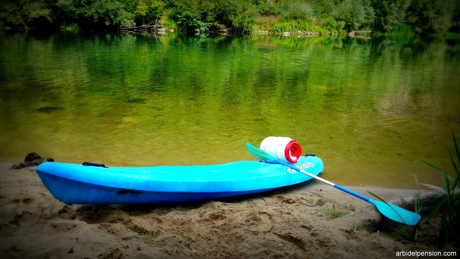 Pensión Arbidel photo 10