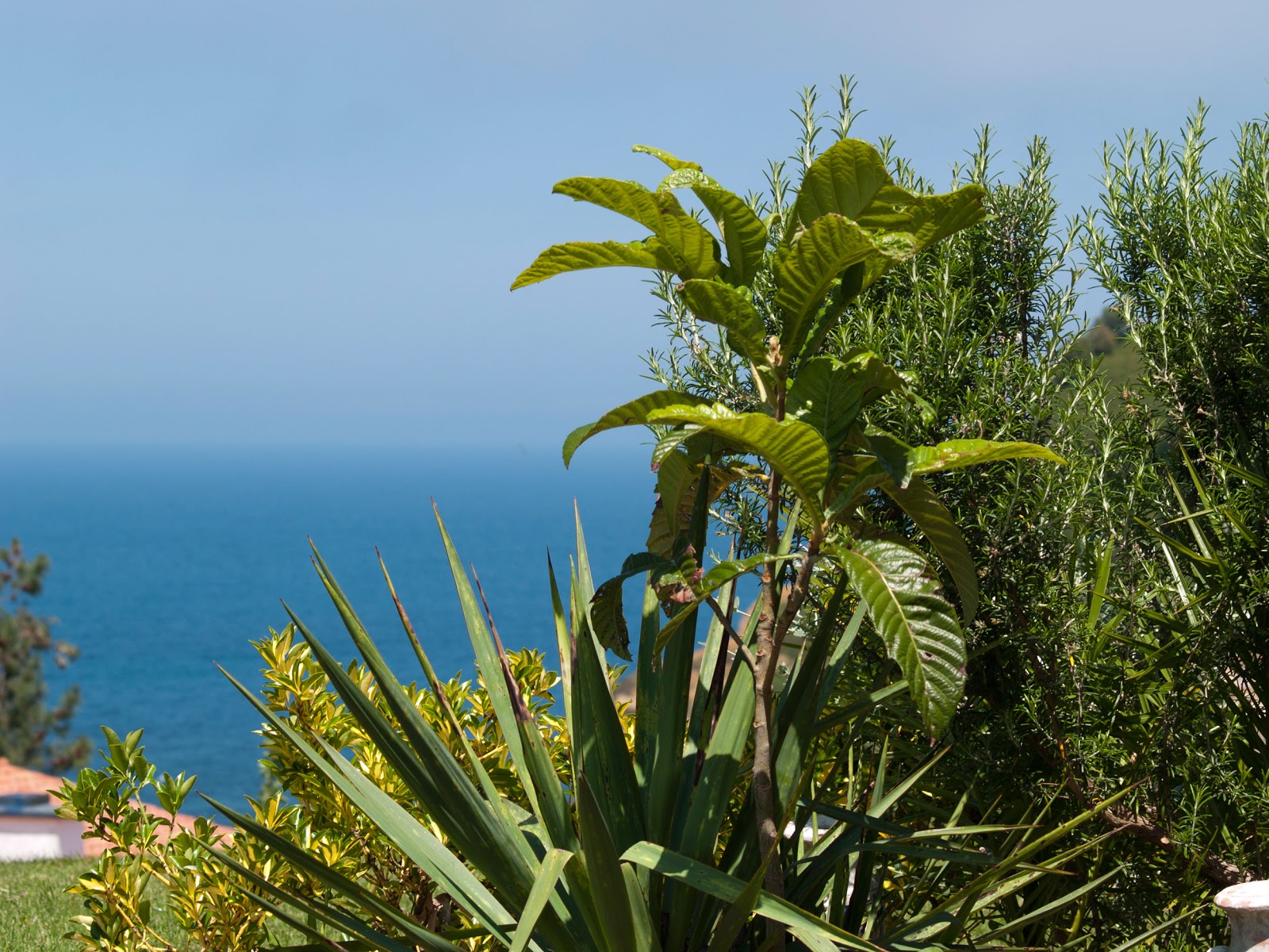 Hotel Kanala photo 5