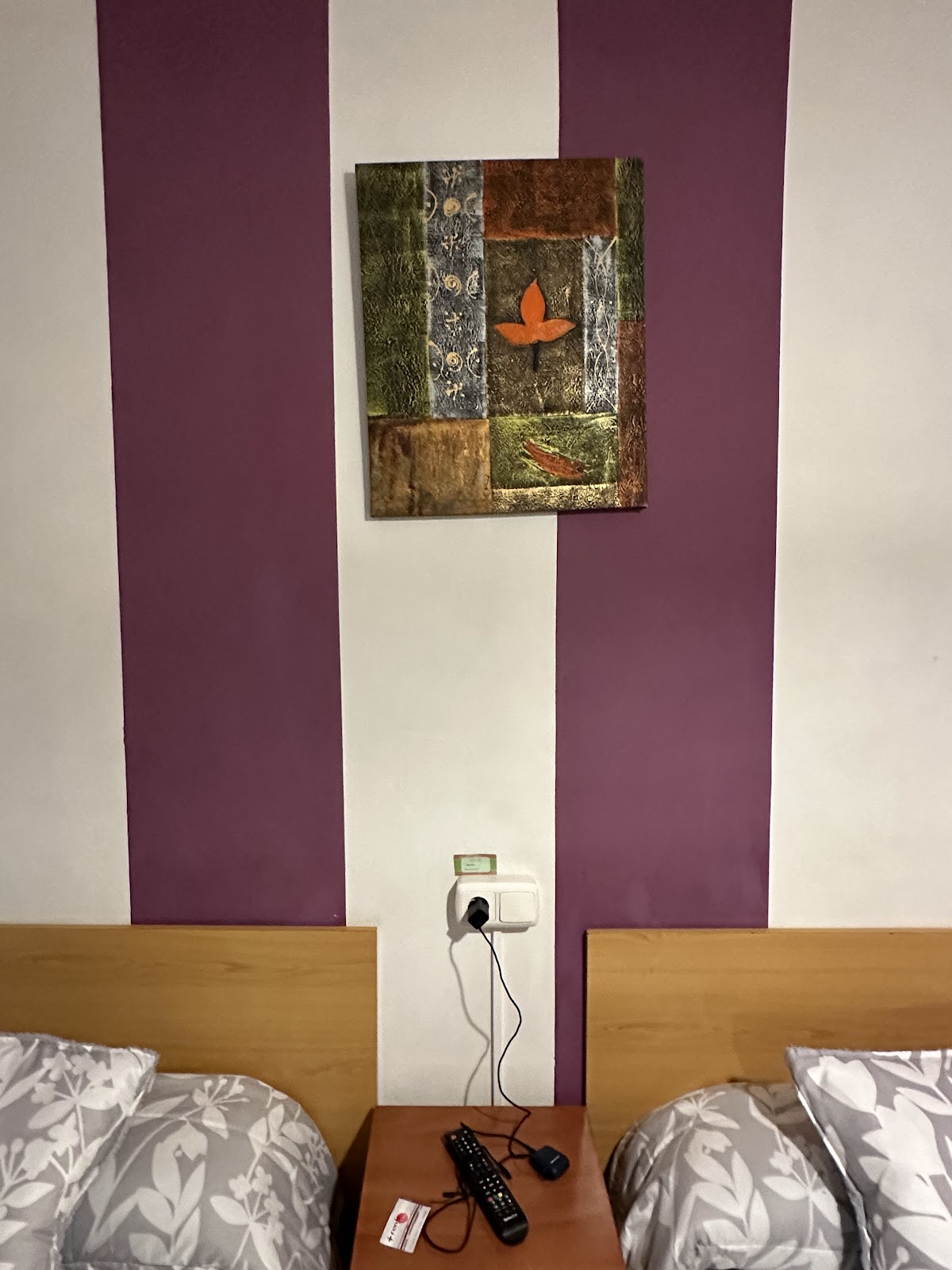 Pensión Gema photo 7