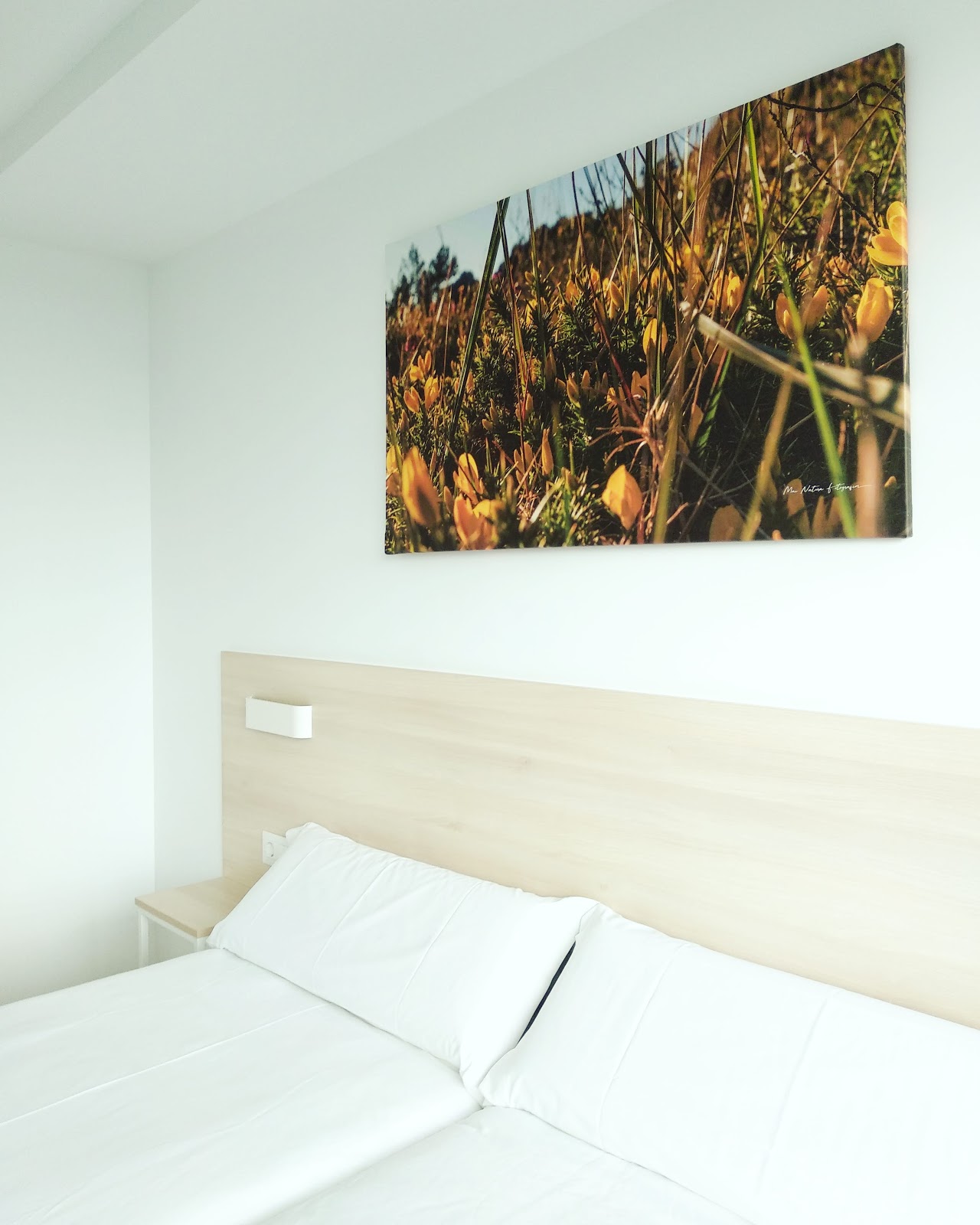 Pensión - Restaurante Vía Sacra photo 9