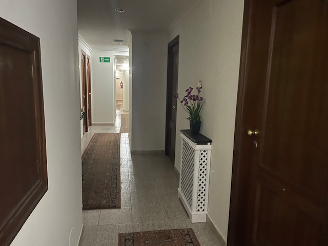 Avenida Gijón Centro photo 4