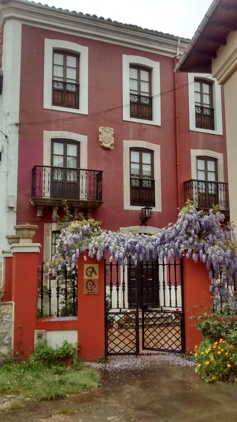 Bosque de Cuevas photo 7