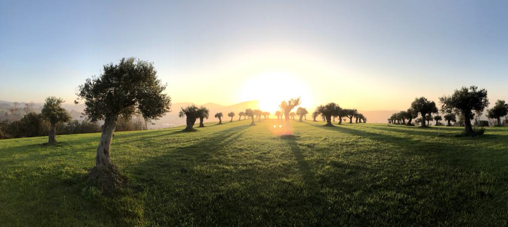 Apartamentos Montemar photo 7