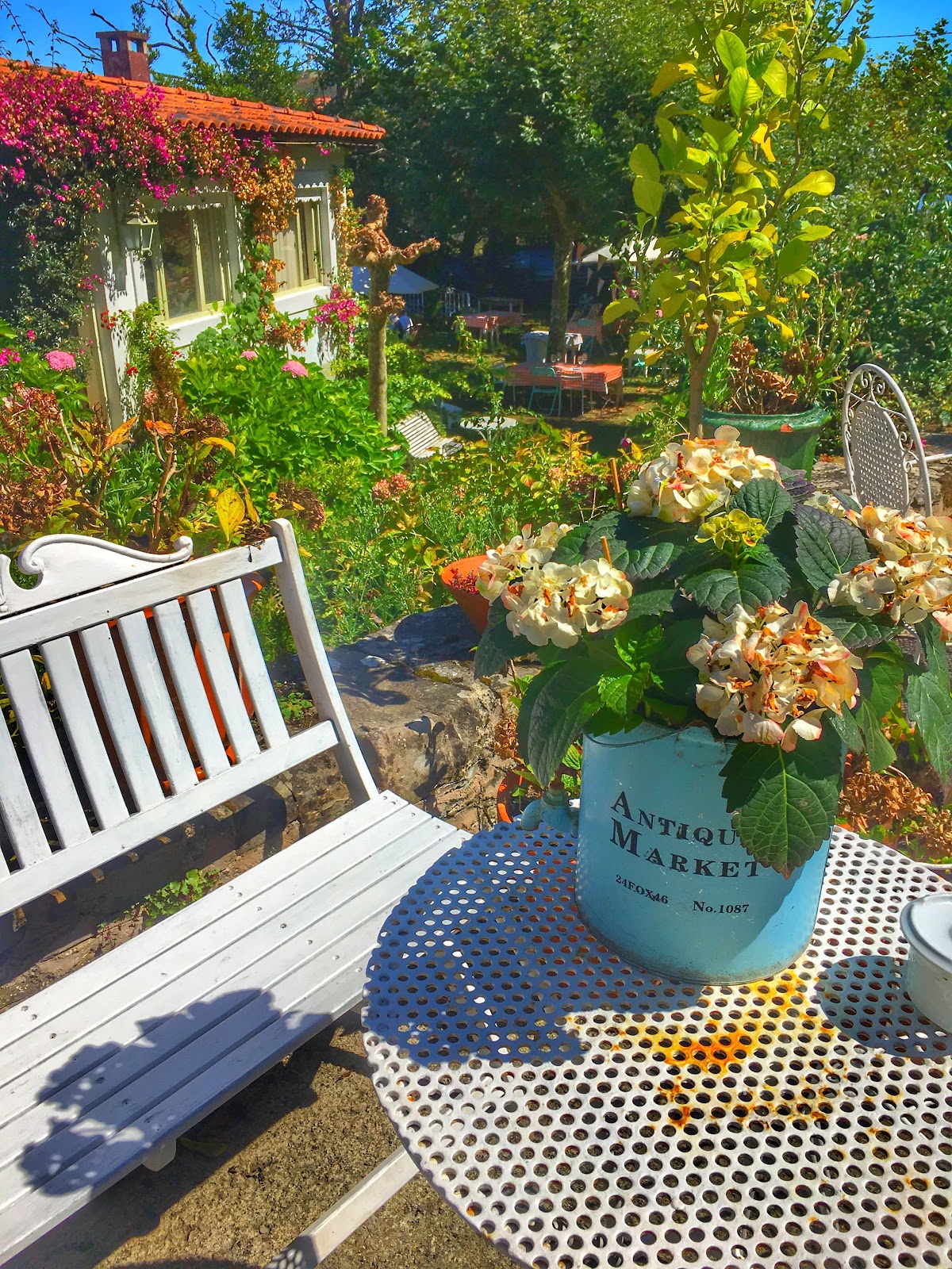 Puente del Pilar photo 6