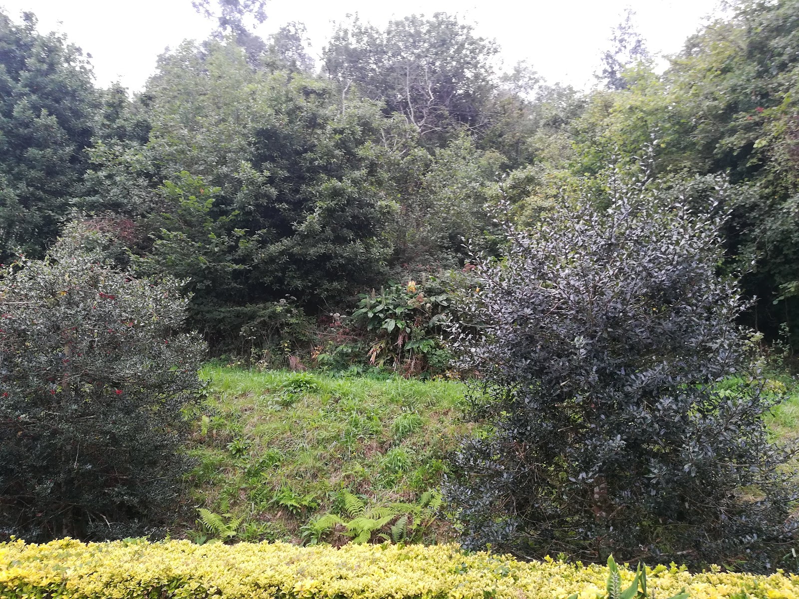 Hotel La Quinta photo 8