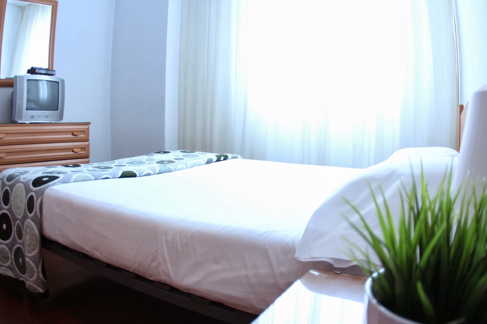 Zubia Urban Rooms photo 4