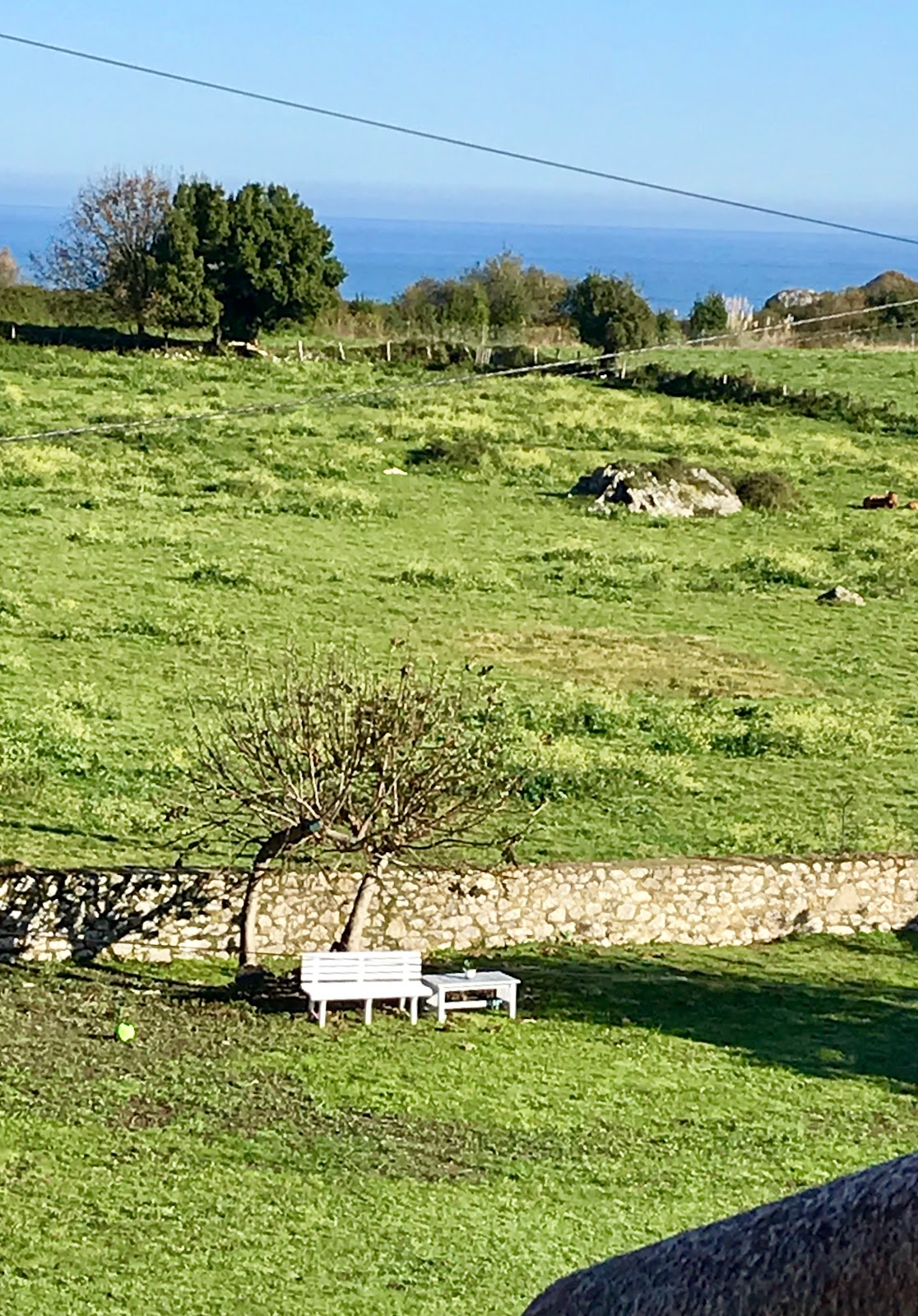 Apartments Rural La Canalina photo 8