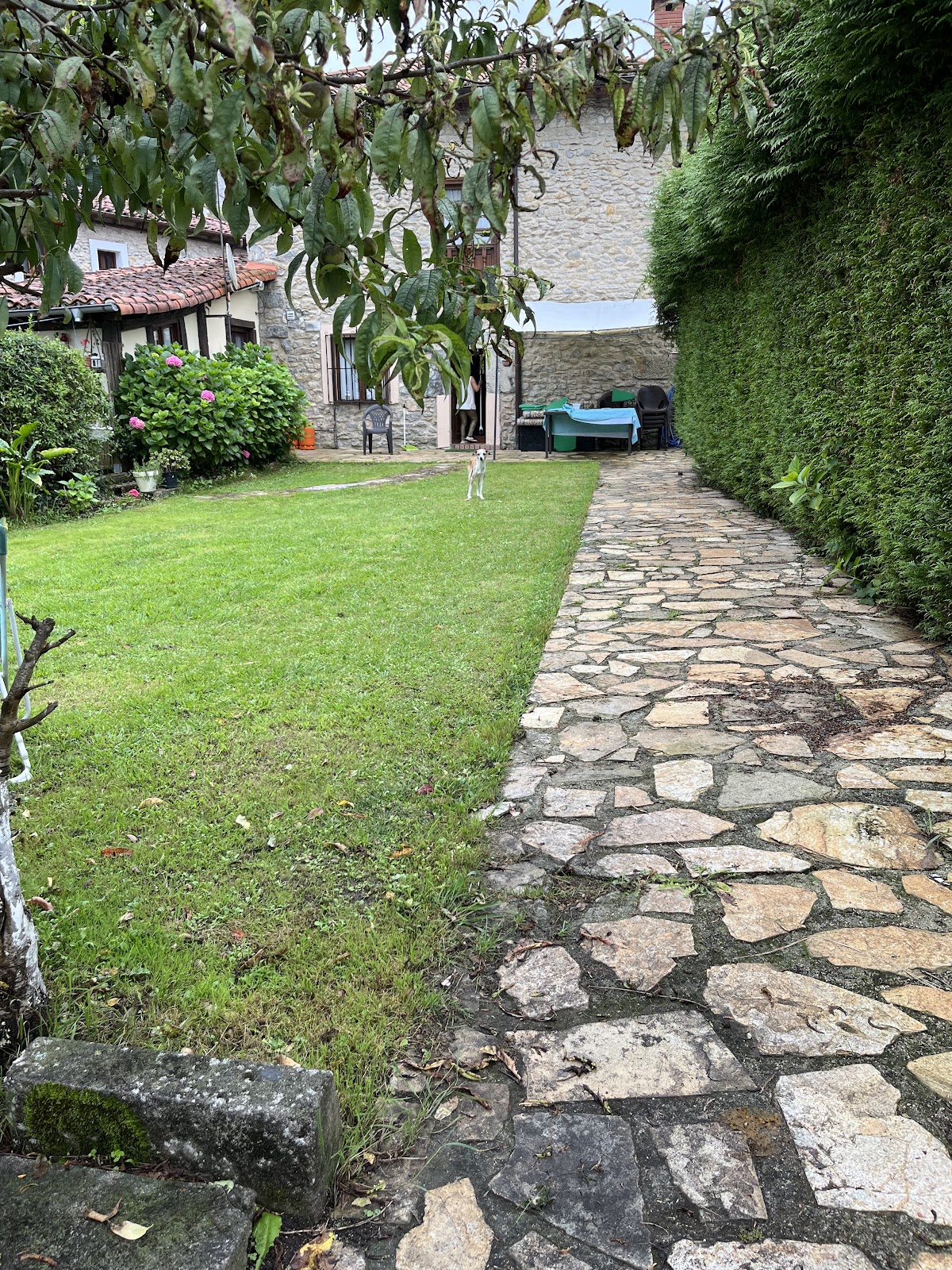 Casa del Cura photo 6