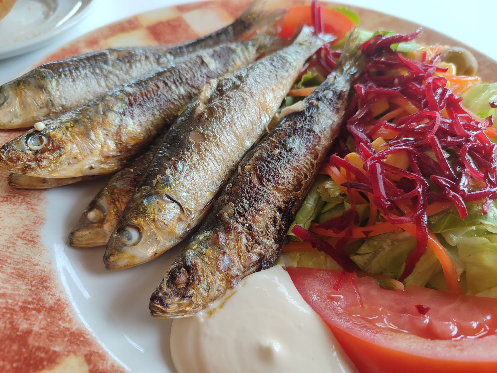 Hotel Cosmopol photo 6