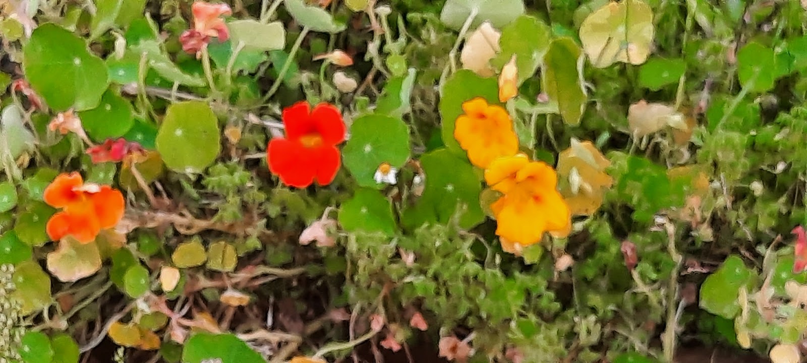 NorQuali - Consultoria e Segurança Alimentar, Lda. photo 5