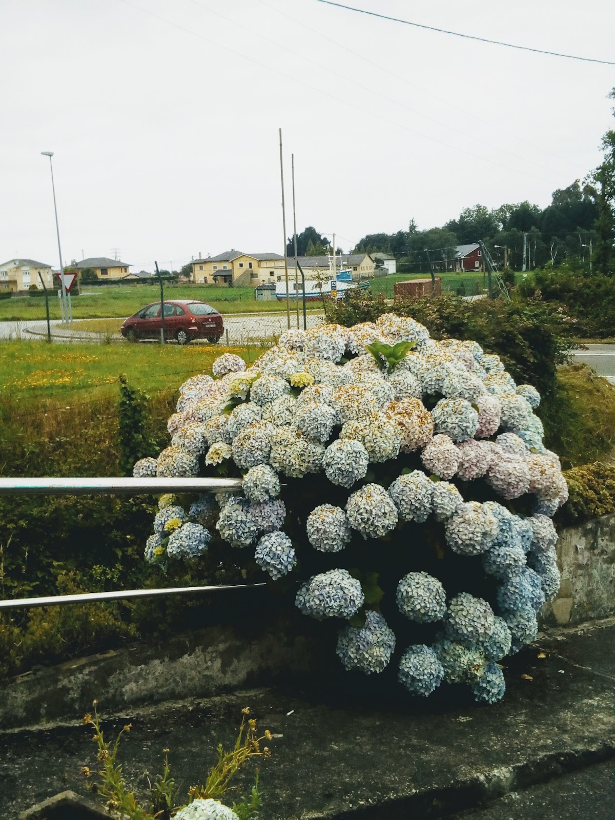 Hostal El Redondel photo 7