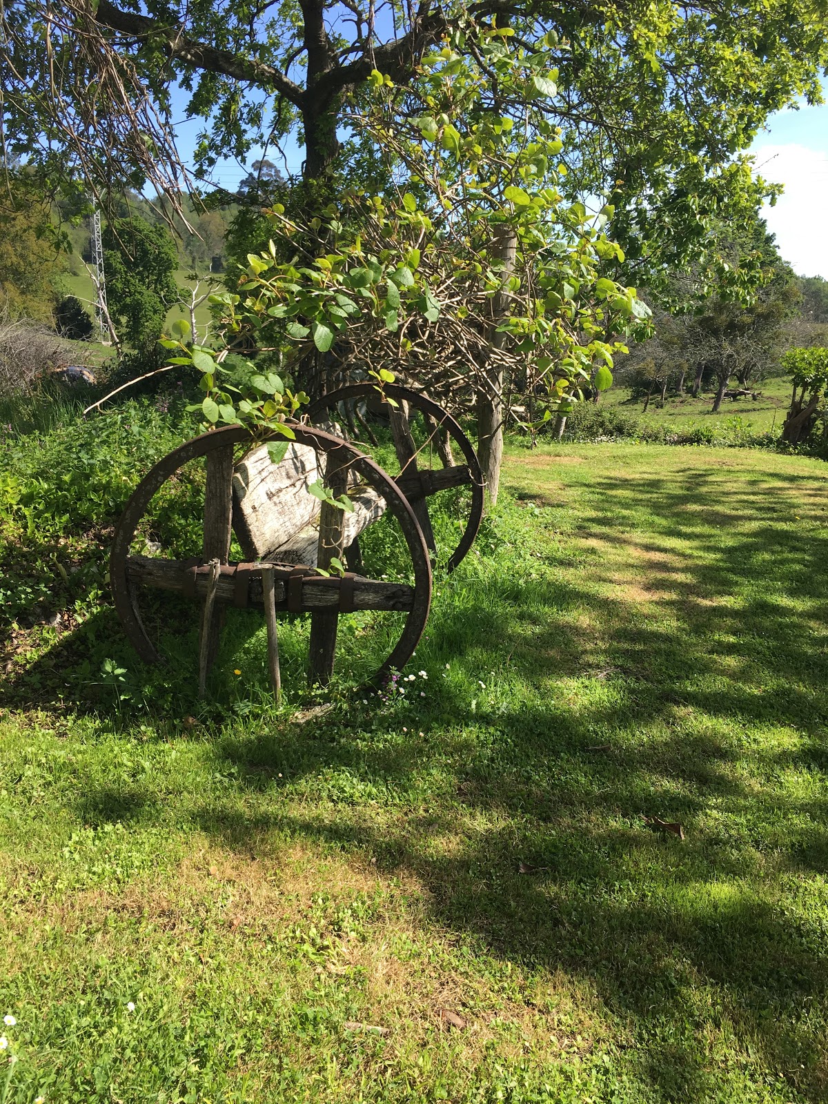 Casa Rural la Llosa del Canonigu photo 7