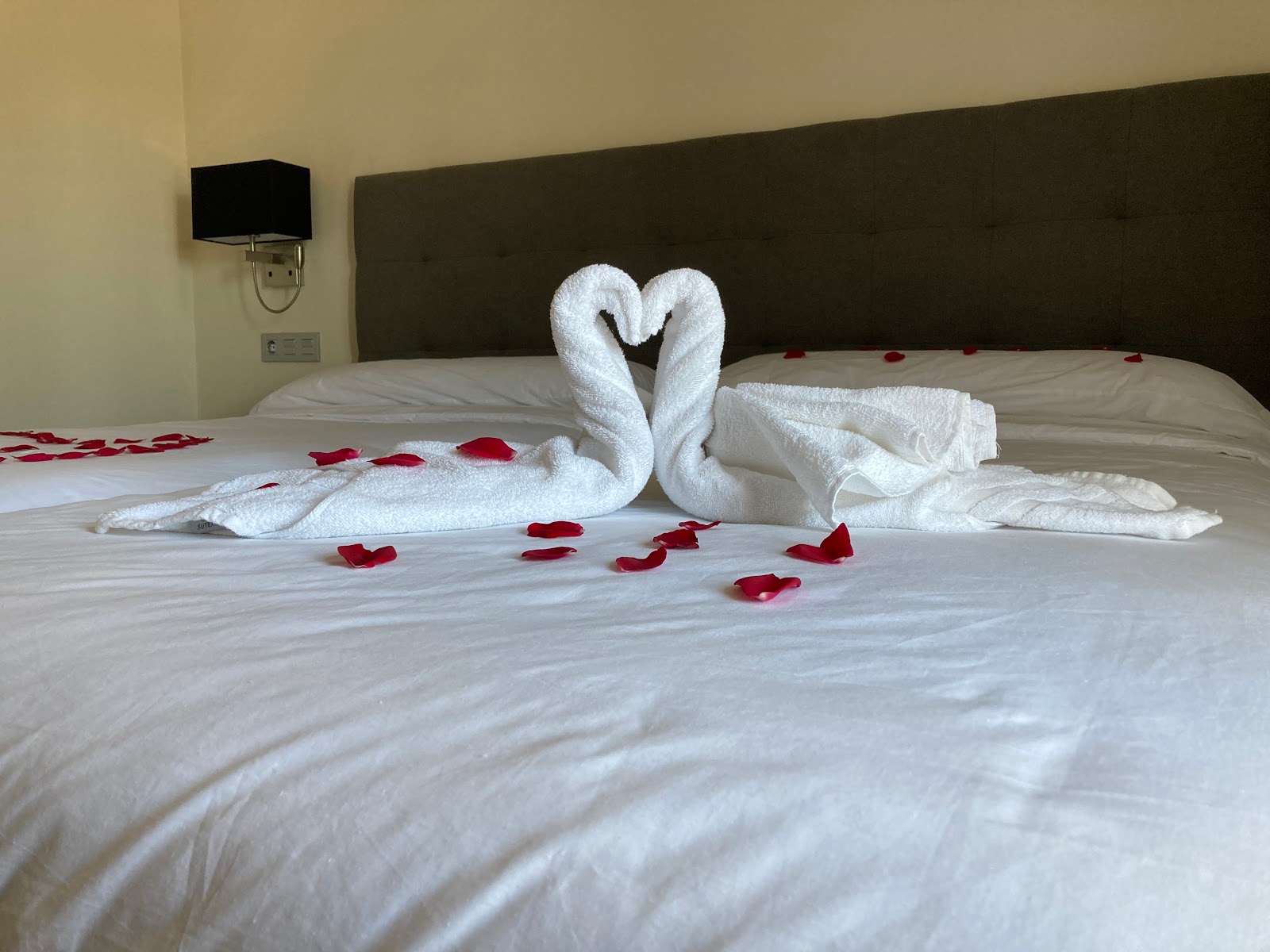 Hotel San Marcus photo 7