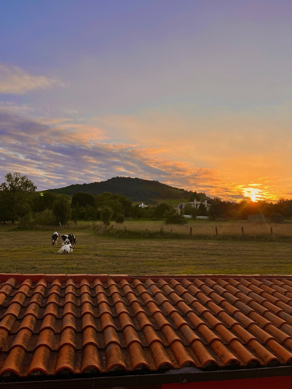 Hostal Mari Carmen photo 9