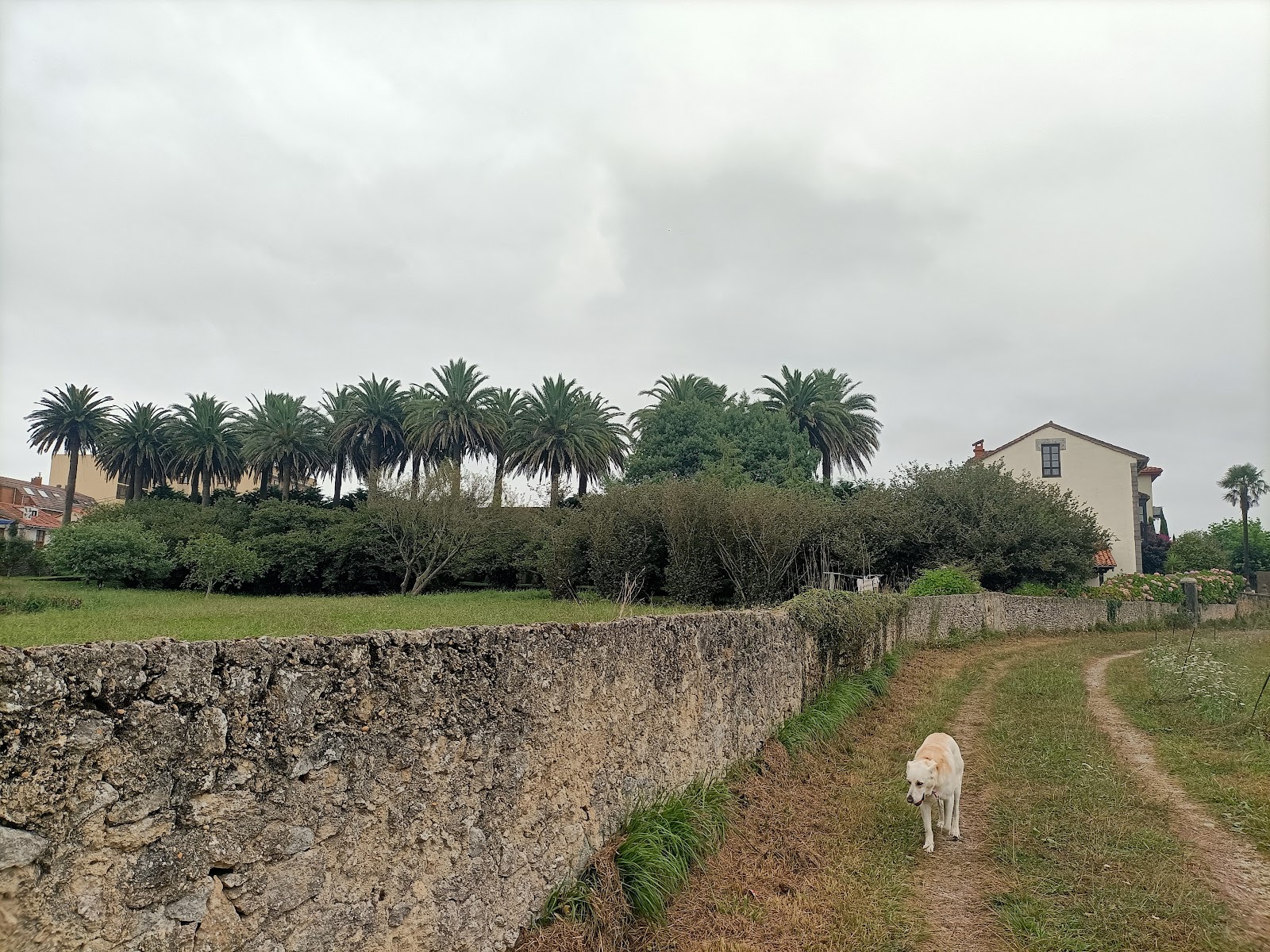 Vivienda Vacacional Las Palmeras photo 5