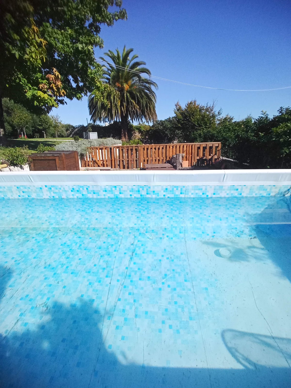 GARDEN ROOMS photo 3