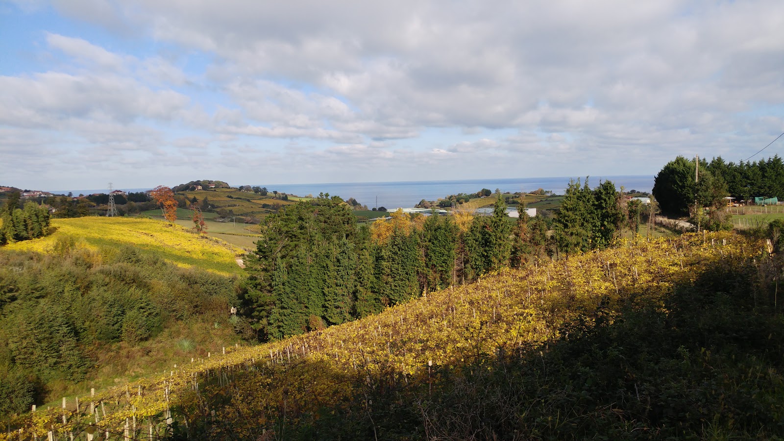 Gaintza Landa-hotela photo 6