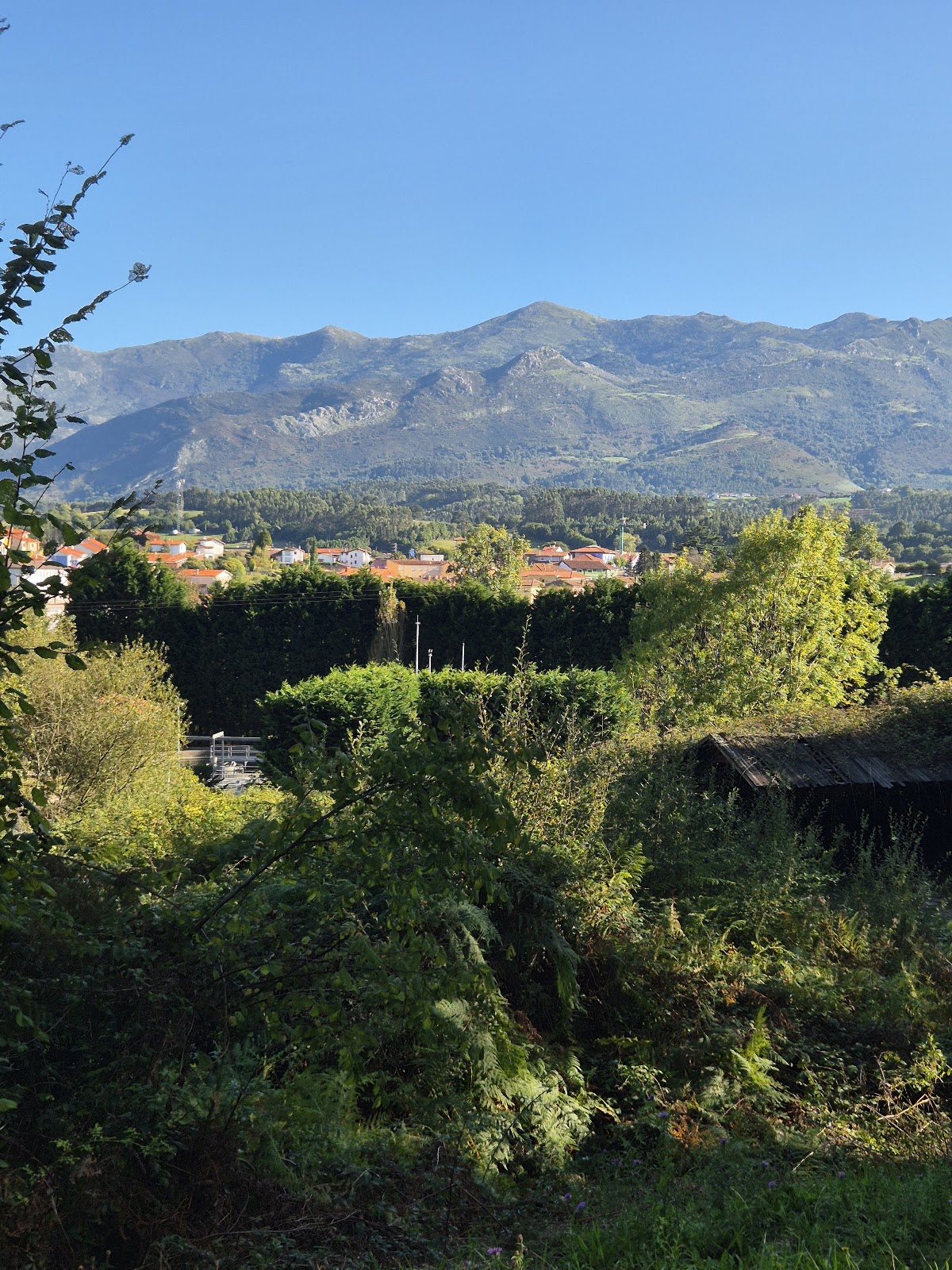 Hotel Entreviñes photo 5