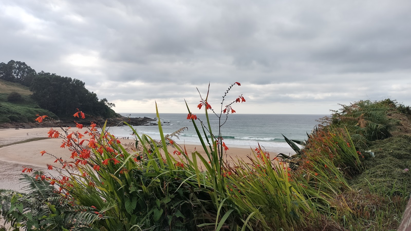 COBRECES 198 photo 10