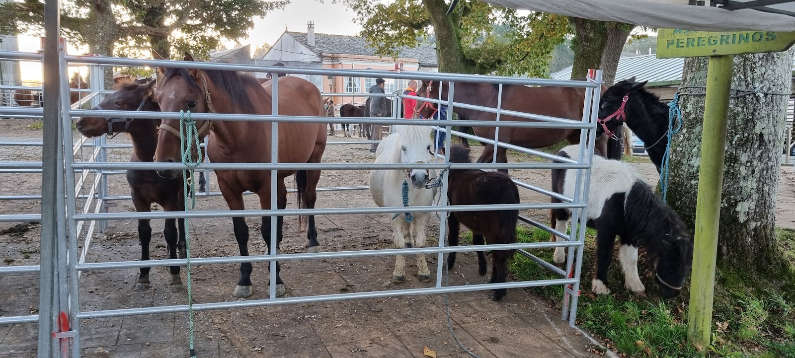 Albergue de peregrinos de Gontán photo 10