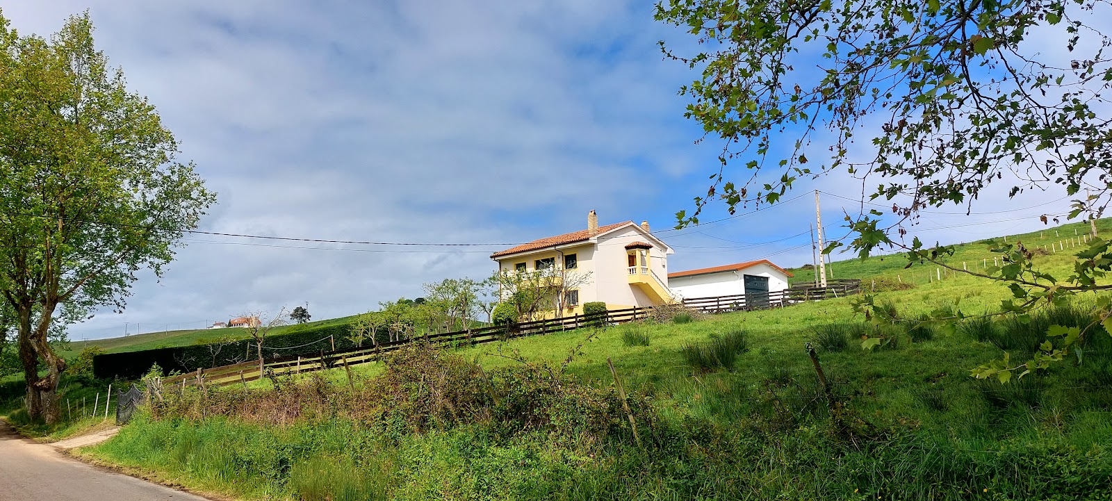 Las Tres Mimosas photo 5