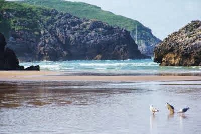 Camping Las Conchas photo 8