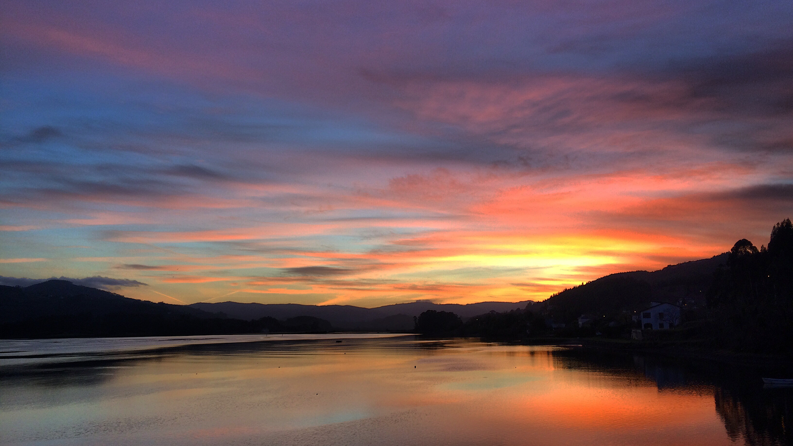 Café del Sol photo 3