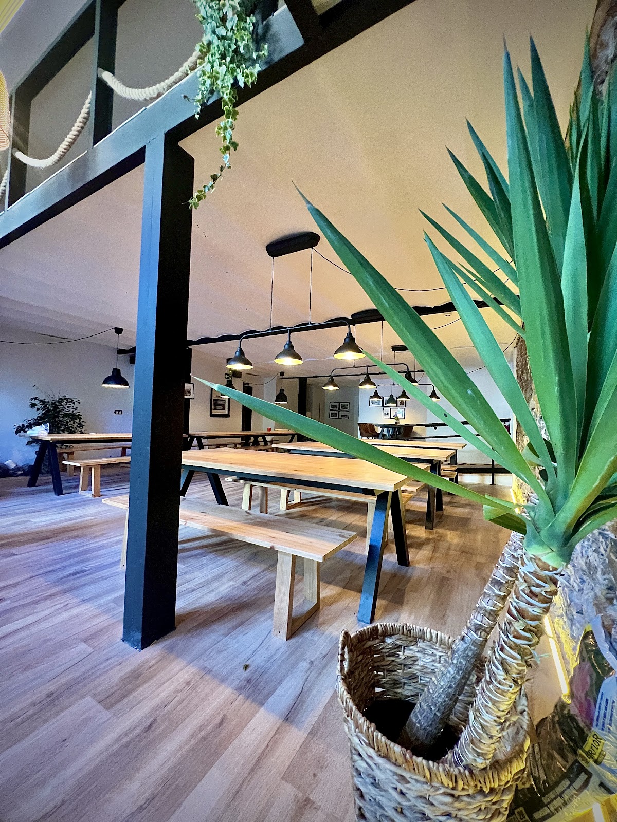 Albergue Bajamar photo 7