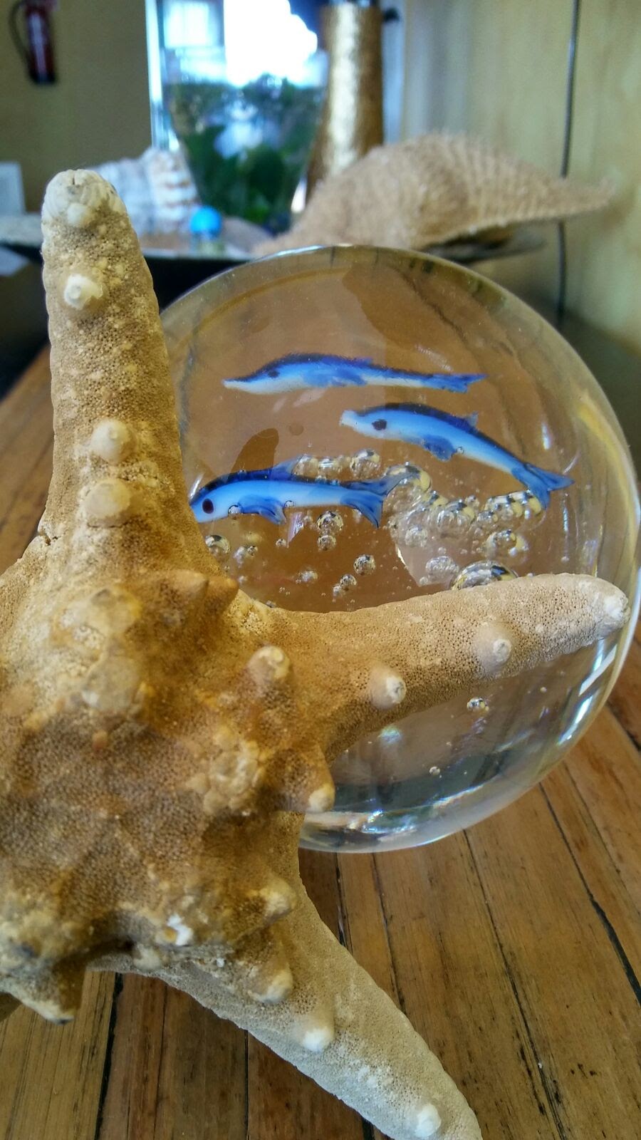 Hotel Panorama Tapia photo 9