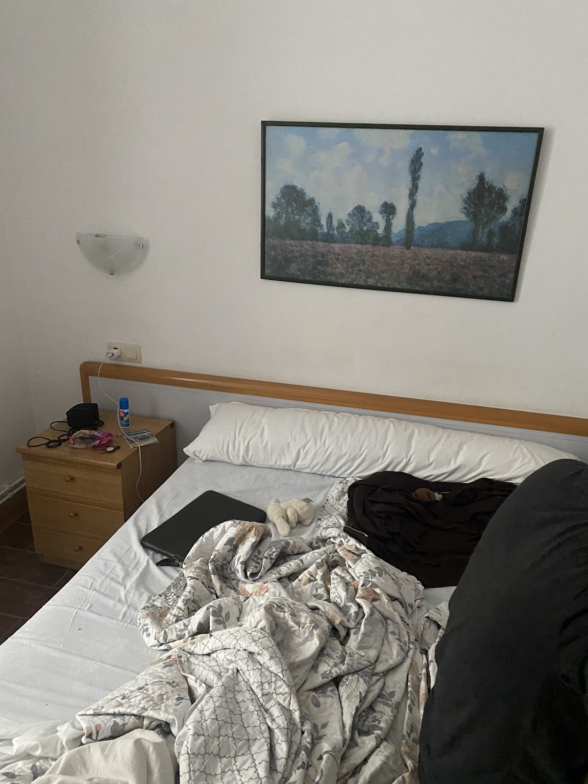 San Telmo pentsioa photo 8