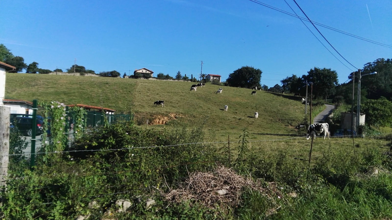 Posada Adela photo 5