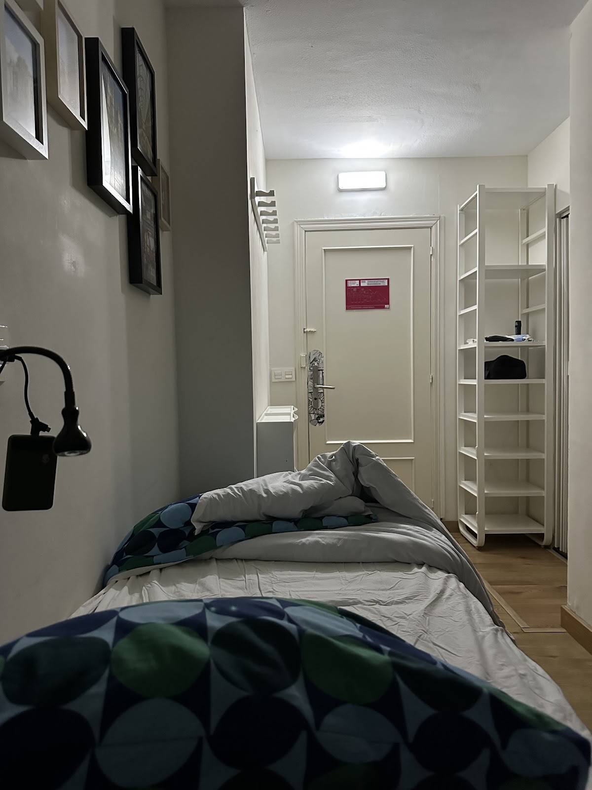 Life Magenta photo 8