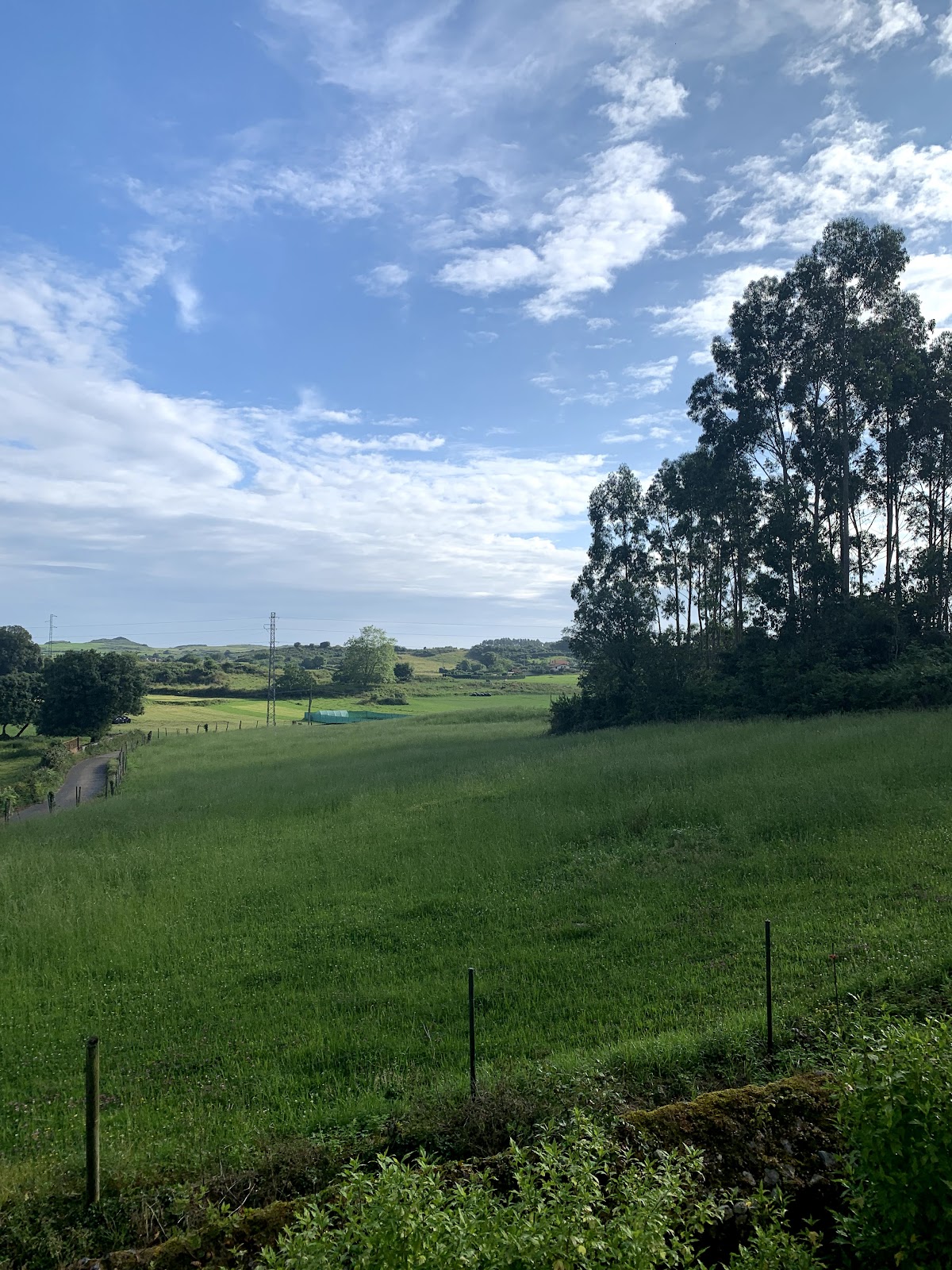 Finca Las Nieves photo 4