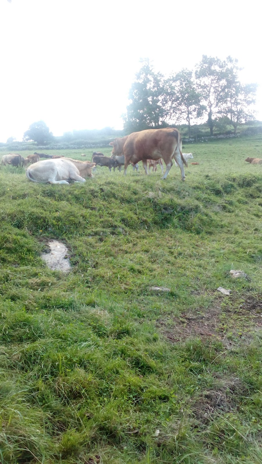 Hospedaje Casa Milagros photo 8