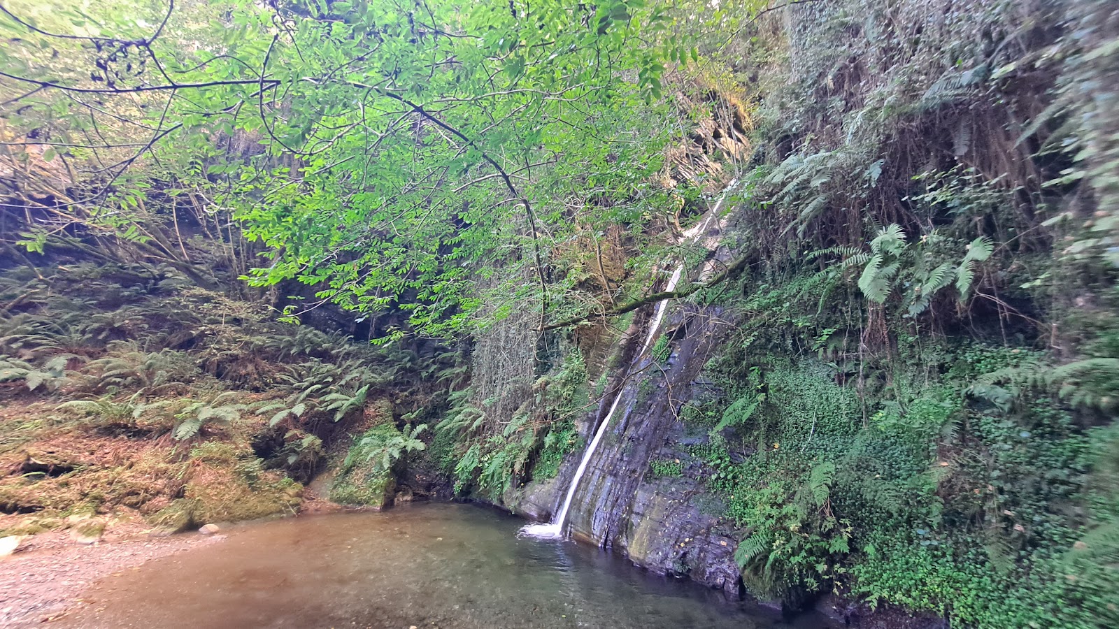 Area Camper Mondoñedo photo 10