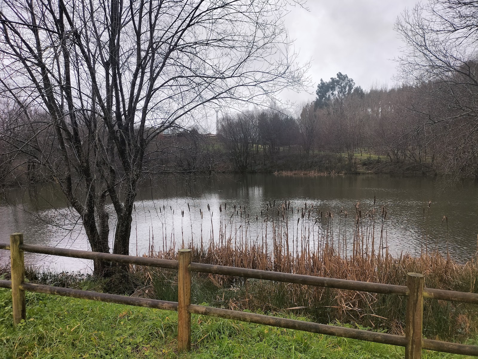 Albergue de peregrinos de Boimorto photo 4