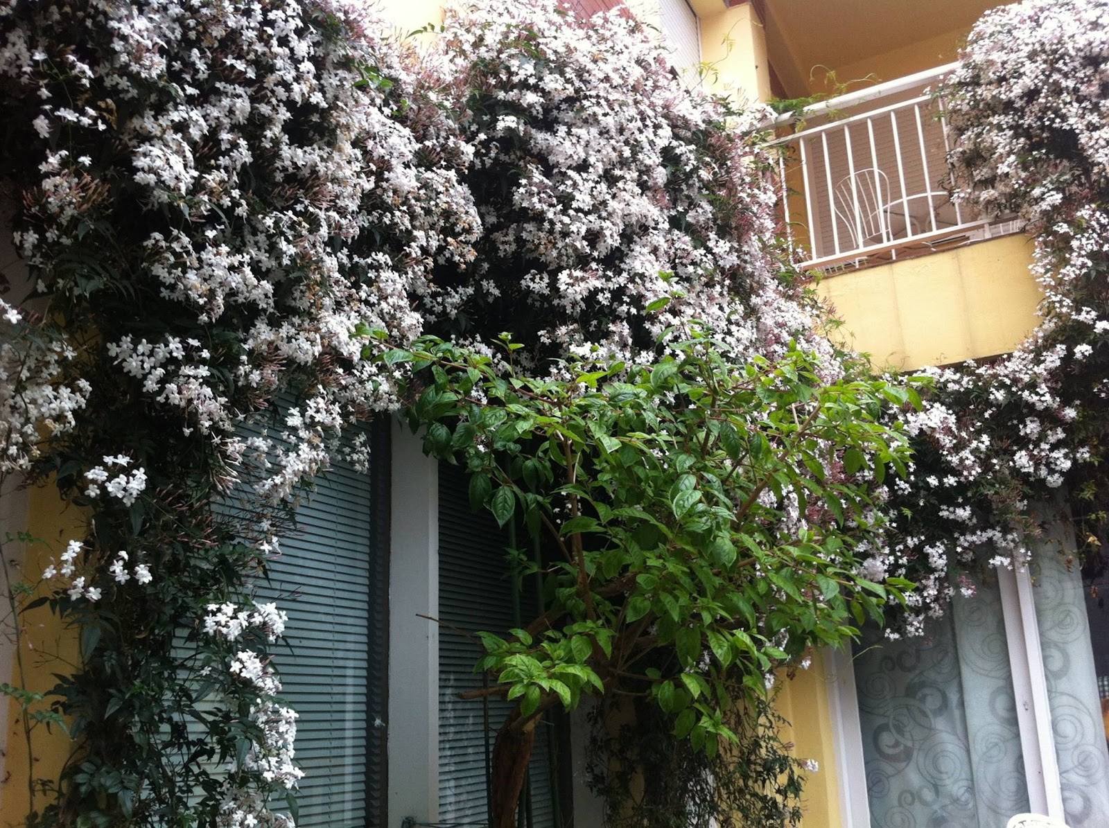 Pensión Esmeralda Laredo Cantabria photo 4